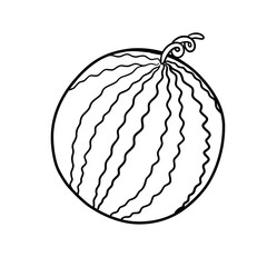 Beautiful black and white line drawing of watermelon as a whole and watermelon as a slice, showing simplicity and elegance, suitable for modern design and creative concepts.