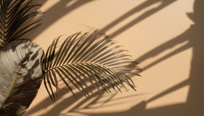 Obraz premium palm tree silhouette