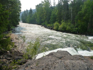 Rushing river water through the forest and rocks in Montana, USA