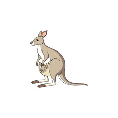 kangaro vector art and illustration