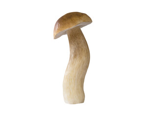 Two edible mushrooms Boletus on the white background