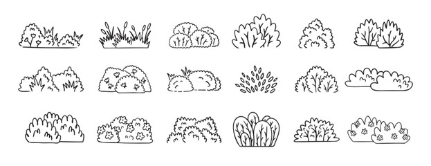Bushes doodle hand drawn line icon set. Bushes clipart outline