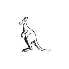 kangaro vector art and illustration