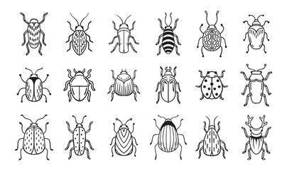 Garden bugs hand drawn outline doodle icon set. Garden bugs drawing elements simple line beetle clipart
