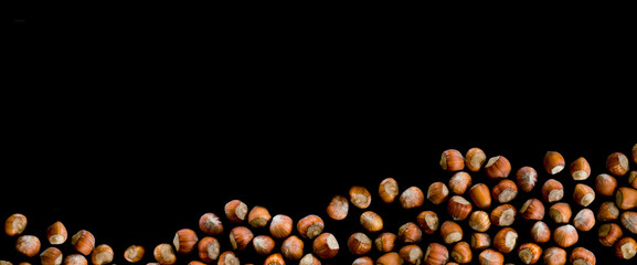 hazelnuts in shell on black background