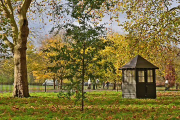 Londra, Autunno e foliage ad Hide Park - Regno Unito