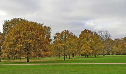 Londra, Autunno e foliage ad Hide Park - Regno Unito