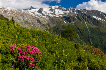 Tour du Mont Blanc beautiful landscapes in the Alps mountains on a sunny summer day. Green grass on...