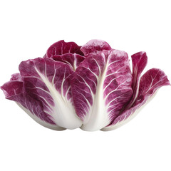 Obraz premium A vibrant purple and white cabbage with a delicate leaf structure, showcasing its fresh and crisp appearance.