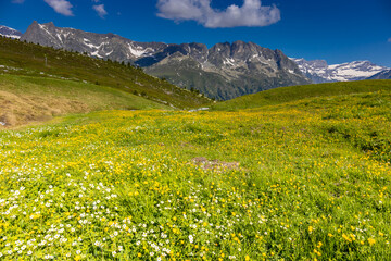 Tour du Mont Blanc beautiful landscapes in the Alps mountains on a sunny summer day. Green grass on the alpine meadow surronded by high mountain peaks of Montbalnc alpine range