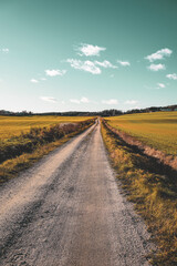 road in the countryside