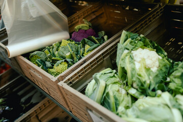 Fresh vegetables at small local urban market. Organic produce on sale at outdoor farmer market. Selling fresh crops and veggies harvest. European urban setting. Close up. Part of the series