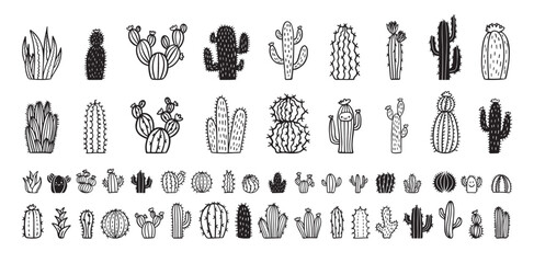 Hand drawn cactus icons. cacti doodle set. Cute sketch cactus collection. © Yanka