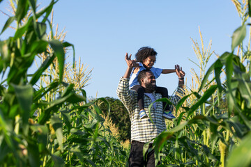 Father Carrying Daughter on Shoulders Amidst Cornfield, Celebrating Nature and Family Bonding in a Rural Agricultural Setting, Surrounded by Tall Green Corn Plants under a Clear Blue Sky