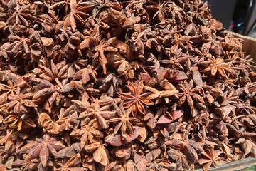Star Anise on the background, Star anise is spice that has been used in traditional Chinese medicine for thousands of years. It has powerful bioactive compounds that may help treat fungal.