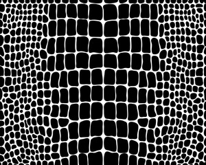 Seamless pattern of alligator skin on a white background	