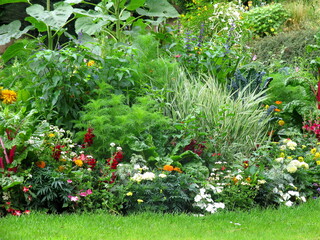 Massif de fleurs