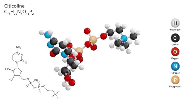 Citicoline or CDP-choline. Animated 3D model of a molecule. Molecular formula: C14H26N4O11P2. Chemical model: Ball and sticks. White background. 3D rendering. Seamless loop.