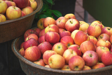rustic bowl filled with fresh red yellow apples on display outdoors, surrounded by lush green leaves. depiction of organic produce and a healthy lifestyle. harvest demonstration holiday festival