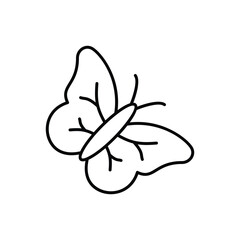 Butterfly vector icon
