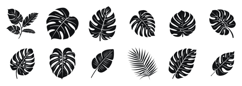 Black and white tropical leaves and plants in various shapes and patterns, vector illustration set. Includes monstera, palm, and other exotic leaves in a stylized, simple design.