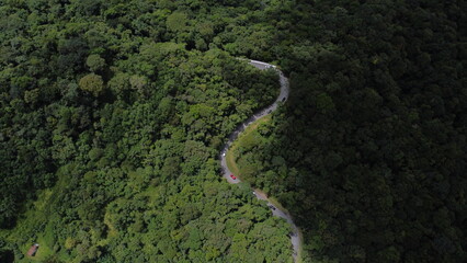 road in the middle of the Atlantic forest