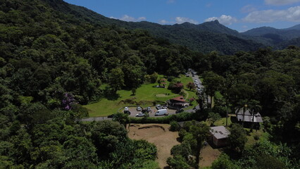 road in the middle of the Atlantic forest