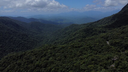 Aerial view of the atlantic forest