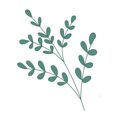 branch with leaves