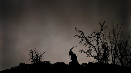 Silhouette - Düstere Kreatur mit Hörnern sitzt zwischen knorrigen Bäumen im Wald - Mythologie und Kultur - Wesen der Vergangenheit und Glaube an alte Götter