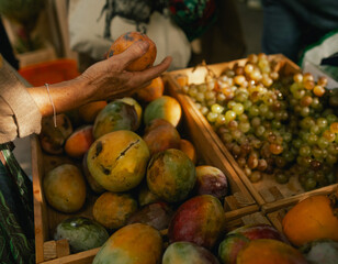 Close up of an old woman with a mango on the local Farmers market. Customer Shopping At Farmers Market Stall. Part of the series