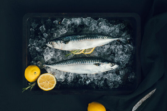 fish
