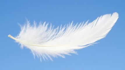 Delicate White Feather Against a Clear Blue Sky