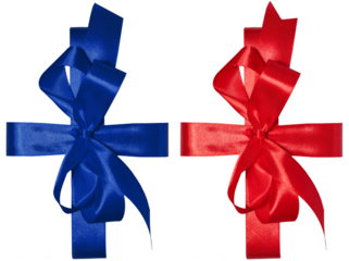 Tied bow made of red and blue silk ribbon on an isolated background, decor for a gift.