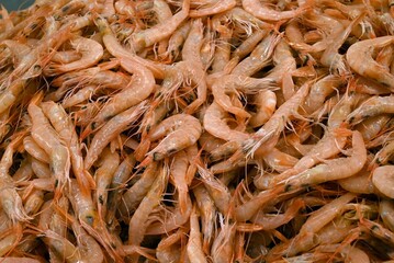 Crevettes fraîches sur l'étal d'une poissonnerie en gros plan