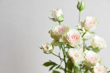 ストロベリーミルフィーユ