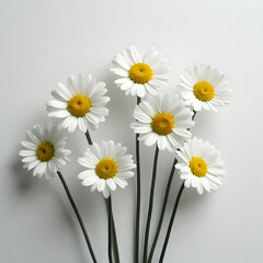 Fototapeta premium Daisy Flower Arrangement Indoor Space Floral Photography Minimalist Aesthetic Close-Up Natural Beauty for Home Decor