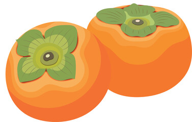 Two Fresh Persimmon Fruits Illustration Isolated on White Background