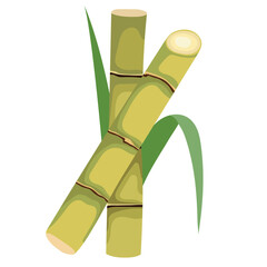 Fresh Sugar Cane Stalks Illustration Isolated on White Background