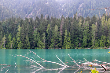 Gloomy lake in the mountains, Whistler