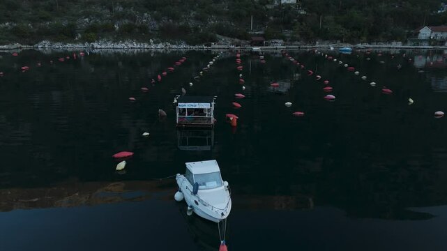 The buoys of an oyster farm and a boat are visible in parallel rows on the water. The bay is surrounded by mountains with green forests and a coastline with buildings. Drone video.