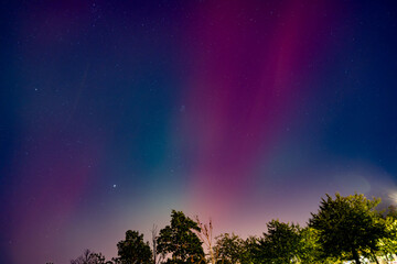 The sky is filled with stars and a purple aurora. The trees are silhouetted against the sky, creating a peaceful and serene atmosphere