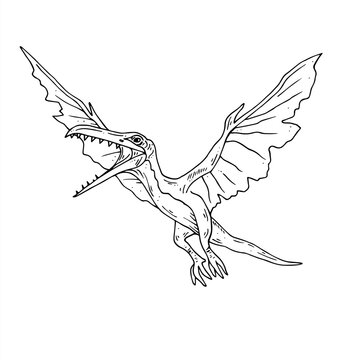 recommend clip art: Graphics vector black and white dinosaur. Black line illustration with pterodactyl in the ink style.