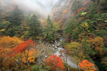 瀬戸川渓谷　展望所からの眺め　秋　（高知県　土佐町）