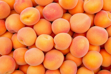 Top-down close-up view of apricots piled together.