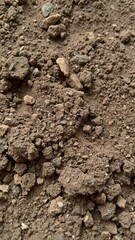 Close-up of rough and gritty dirt texture with small rocks and debris, natural