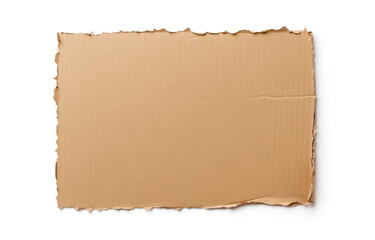 Fototapeta premium Textured cardboard with rough edges on white background