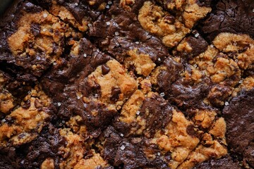 Homemade Brookie or Crownies - chocolate chip brownie bars