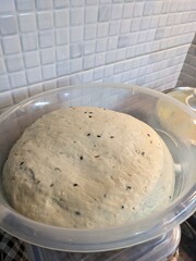 
The photo shows a bowl of sourdough dough, rising gently with a blend of spices mixed in. The dough has a soft, textured appearance, with some visible air bubbles forming as it expands. 
