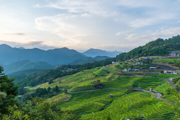 三重県熊野市の美しい丸山千枚田